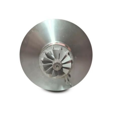 Cartucho 1000010108 para turbocompresor 753420