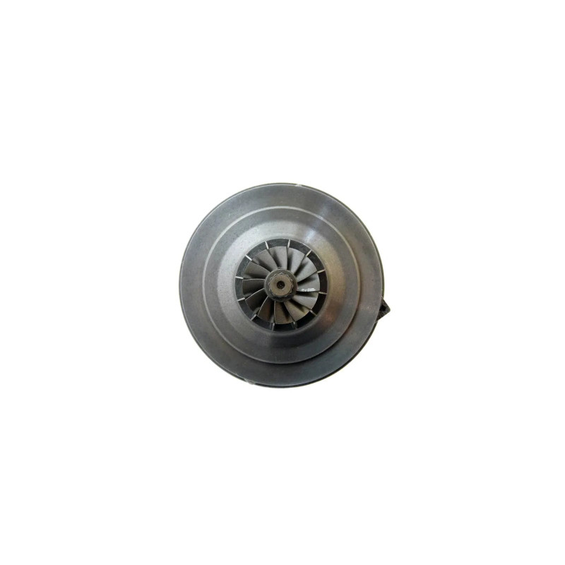 Cartucho 1000010100 para turbocompresor 454197