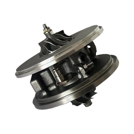 Cartucho 1000010953 para turbocompresor 790179