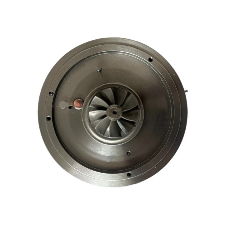Cartucho 1000010953 para turbocompresor 790179