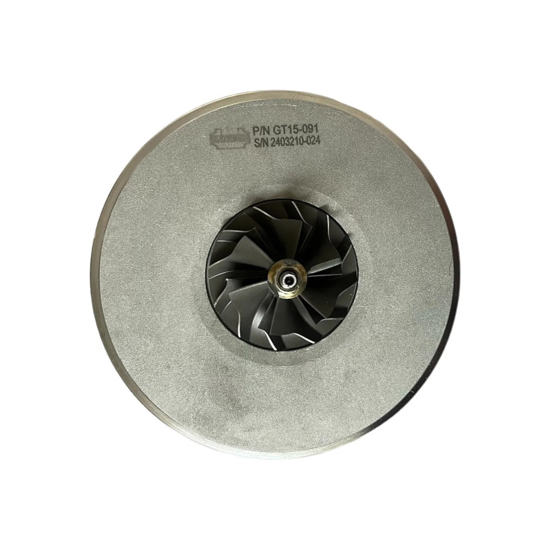 Cartucho 1000010953 para turbocompresor 790179