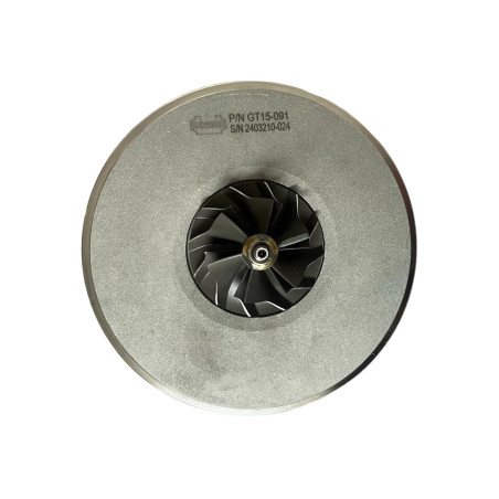 Cartucho 1000010953 para turbocompresor 790179