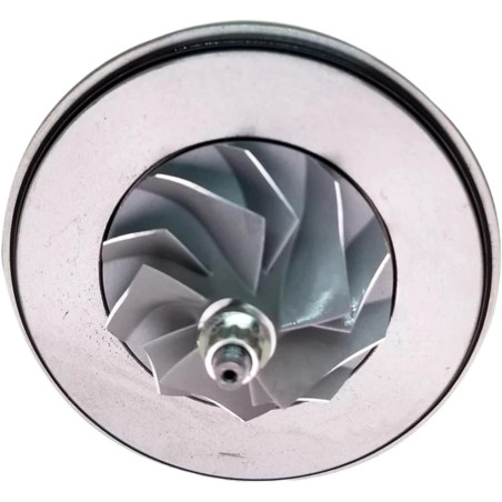 Cartucho 1000010902 para turbocompresor 452162