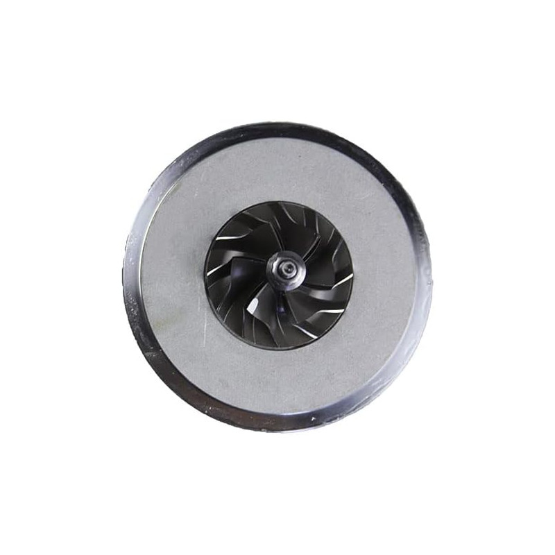 Cartucho 1000010973 para turbocompresor 452244
