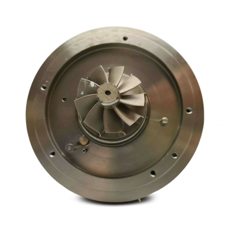 Cartucho 1000010943 para turbocompresor 769909