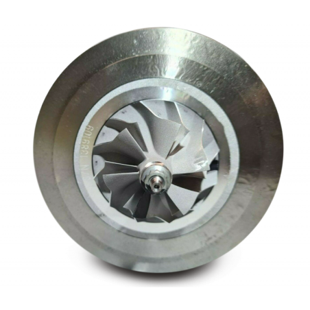 Cartucho 1000010943 para turbocompresor 769909