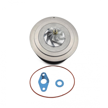 Cartucho 1000010870 para turbocompresor 819977