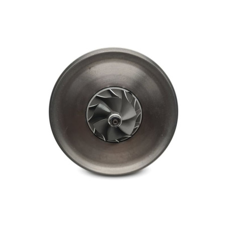 Cartucho 1000040120 para turbocompresor VV11