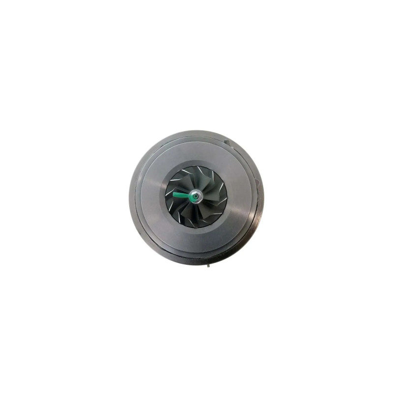 Cartucho 1000010978 para turbocompresor 807489