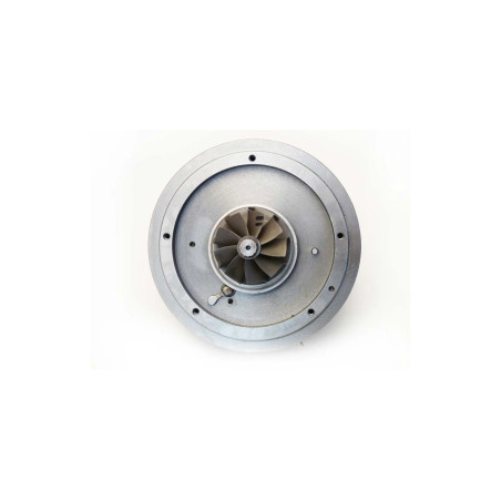 Cartucho 1000010359B para turbocompresor 769909