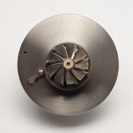 Cartucho 1000010980 para turbocompresor 717627