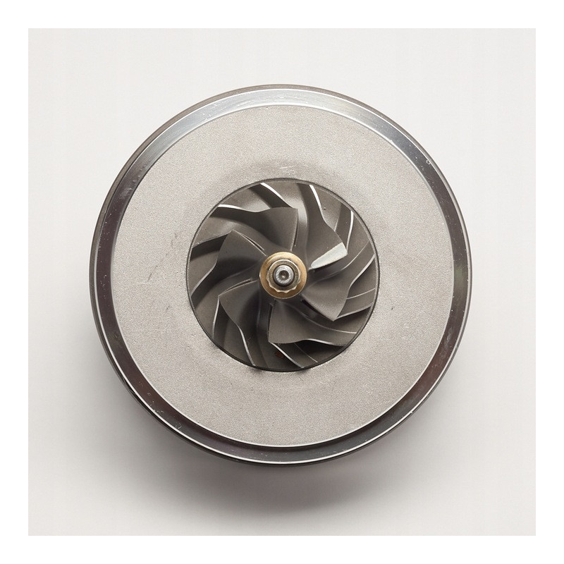Cartucho 1000010980 para turbocompresor 717627