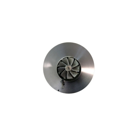 Cartucho 1000010906 para turbocompresor 717628